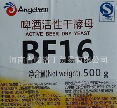 啤酒酵母的另一種生命 供應安琪BF16拉格酵母的前世今生